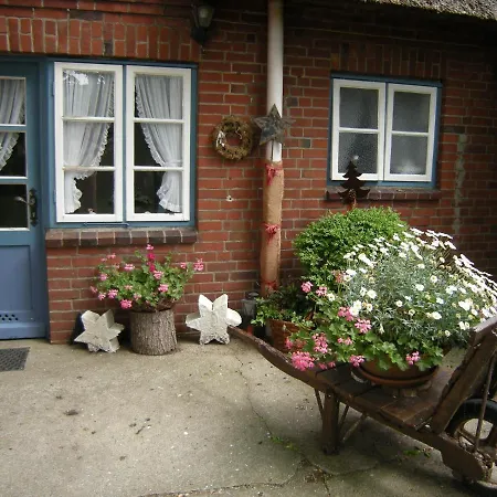 Haus Wolltoft Haus Wolltoft - Fewo 10 Inselstern 公寓 尼布卢姆