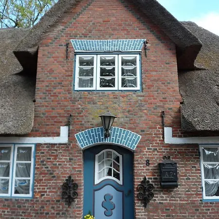Haus Wolltoft Haus Wolltoft - Fewo 10 Inselstern 公寓 尼布卢姆